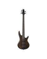 Ibanez GSR205BWNF GIO Series 5-String Bass Guitar, Phat II EQ, Dynamix Humbuckers, Walnut Flat