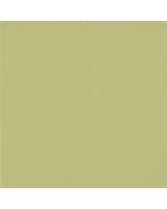 Westcott 8 ft. x 8 ft. X-Drop Pro Wrinkle-Resistant Backdrop for Small Group Portraits, Light Moss Green