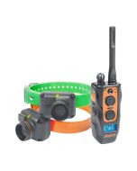 Dogtra 2702T&B Training & Beeper Remote Dog Training E-Collar, 2-Dog System, 1-Mile, Waterproof