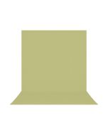 Westcott 8 ft. x 13 ft. X-Drop Pro Wrinkle-Resistant Backdrop for Small Group Portraits, Light Moss Green