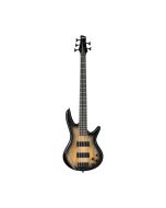 Ibanez Gio Series 5-String Electric Bass Guitar, Spalted Maple Top, Natural Gray Burst, GSR205SM