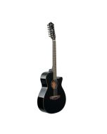 Ibanez AEG5012 Acoustic Guitar, AEG Body, Black High Gloss Top, Natural High Gloss Back and Sides