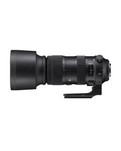 Sigma 60-600mm F4.5-6.3 DG OS HSM Sports Lens for DSLR Cameras, Nikon F Mount, 10× Optical Zoom