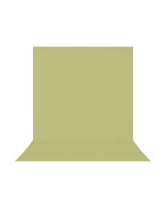 Westcott 8 ft. x 13 ft. X-Drop Pro Wrinkle-Resistant Backdrop for Small Group Portraits, Light Moss Green