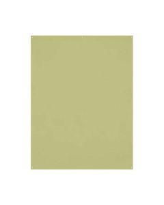Westcott 5 ft. x 7 ft. X-Drop Wrinkle-Resistant Backdrop for Headshots & Portraits, Light Moss Green, 543