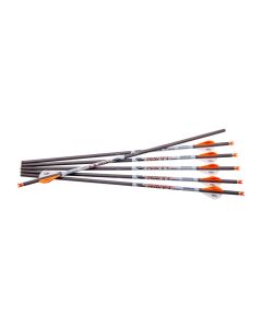 Ravin .001 Premium Arrows, 2-Inch High-Profile Offset Vanes, 100% Pure Carbon Construction, 6-Pack