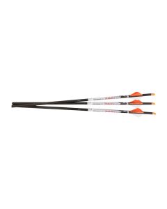 Ravin .003 R18 Arrows, 2-Inch High-Profile Offset Vanes, 100% Pure Carbon Construction, 6-Pack