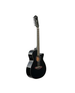 Ibanez AEG5012 Acoustic Guitar, AEG Body, Black High Gloss Top, Natural High Gloss Back and Sides