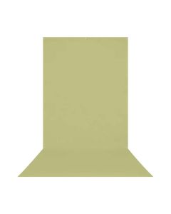 Westcott 5 ft. x 12 ft. X-Drop Wrinkle-Resistant Backdrop, Headshots & Portraits, Light Moss Green, 543S